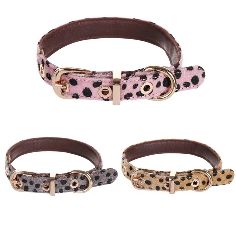 Collier pour petit chien à mot - Leather Strap Quick Release avis et prix