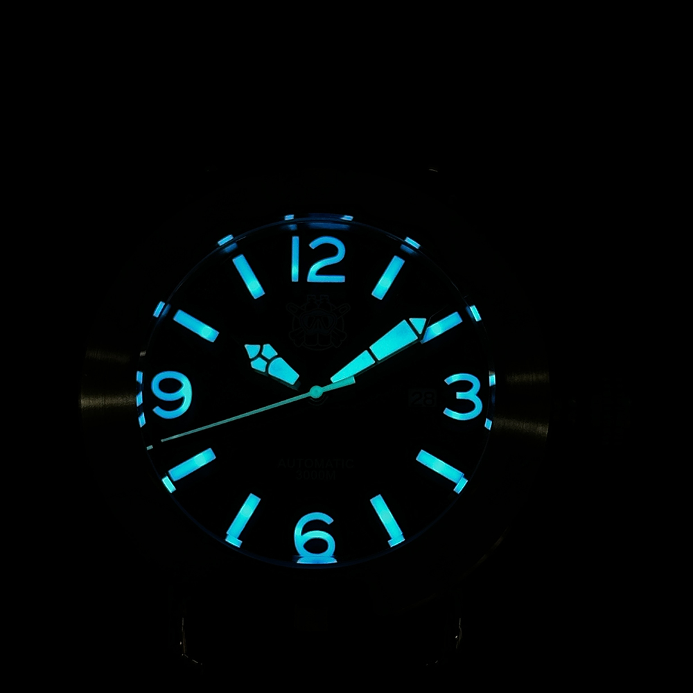 Steeldive 2025 montre SD1912 s - Seiko Watch Prospex avis et prix