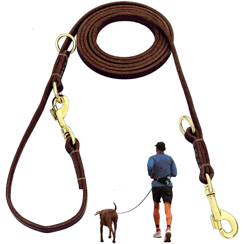 Laisse pour chien multifonctio - Leather Strap Quick Release avis et prix