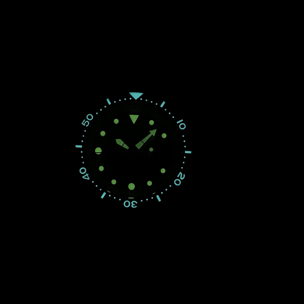 STEELDIVE SD1975 cadran rayon  - Seiko Watch Prospex avis et prix